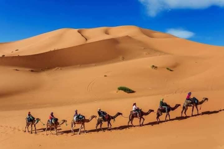 Bivouac Camel Trips Hotel Merzouga Exterior photo