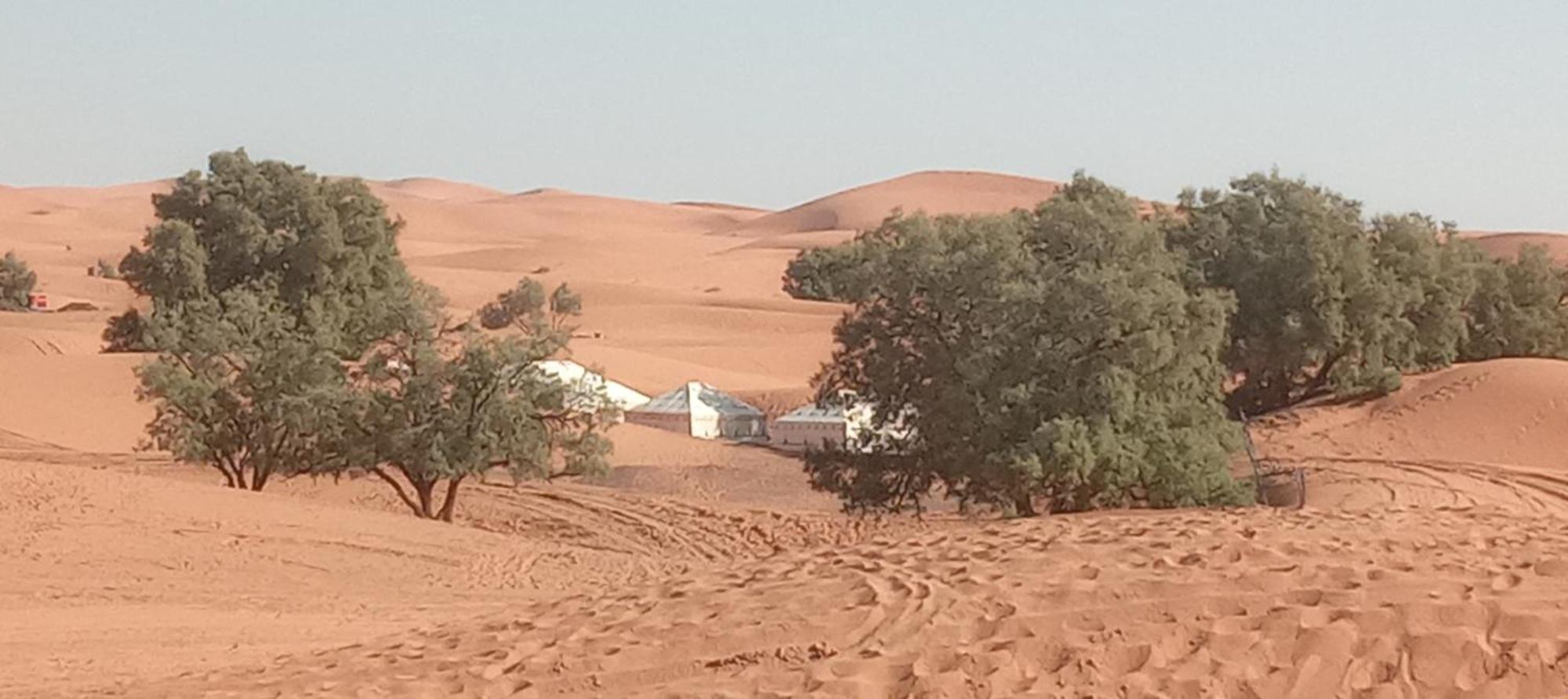 Bivouac Camel Trips Hotel Merzouga Exterior photo