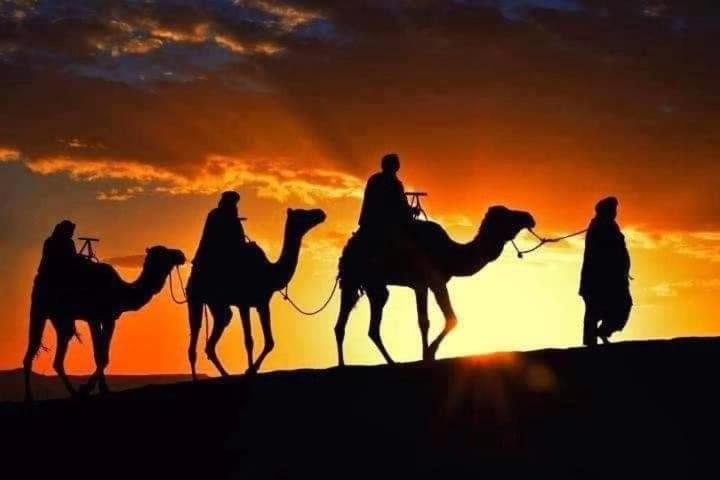 Bivouac Camel Trips Hotel Merzouga Exterior photo