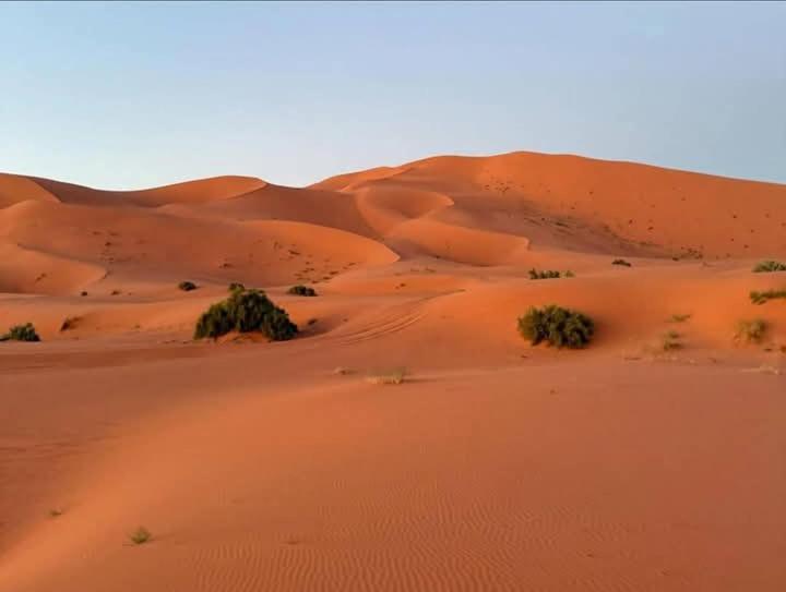 Bivouac Camel Trips Hotel Merzouga Exterior photo