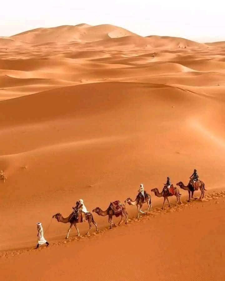 Bivouac Camel Trips Hotel Merzouga Exterior photo