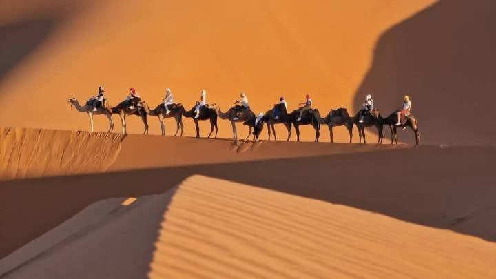 Bivouac Camel Trips Hotel Merzouga Exterior photo