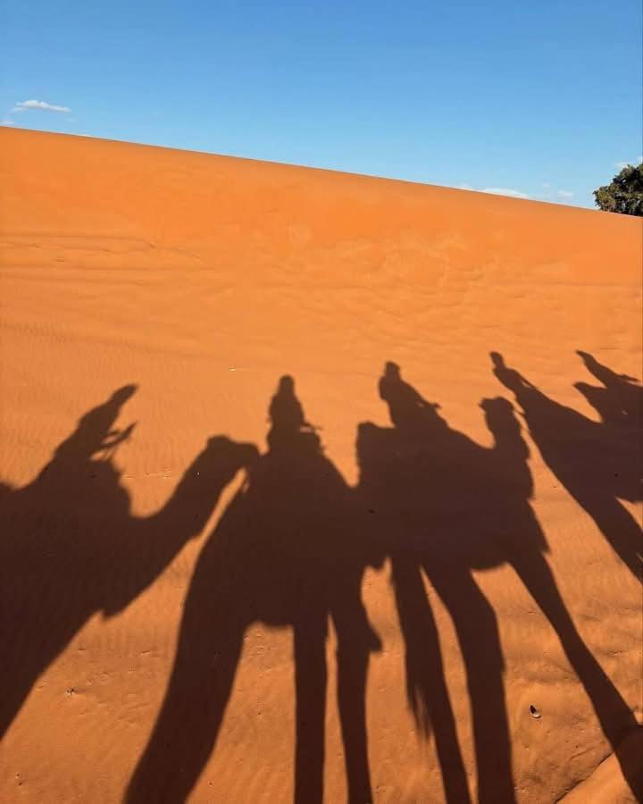 Bivouac Camel Trips Hotel Merzouga Exterior photo