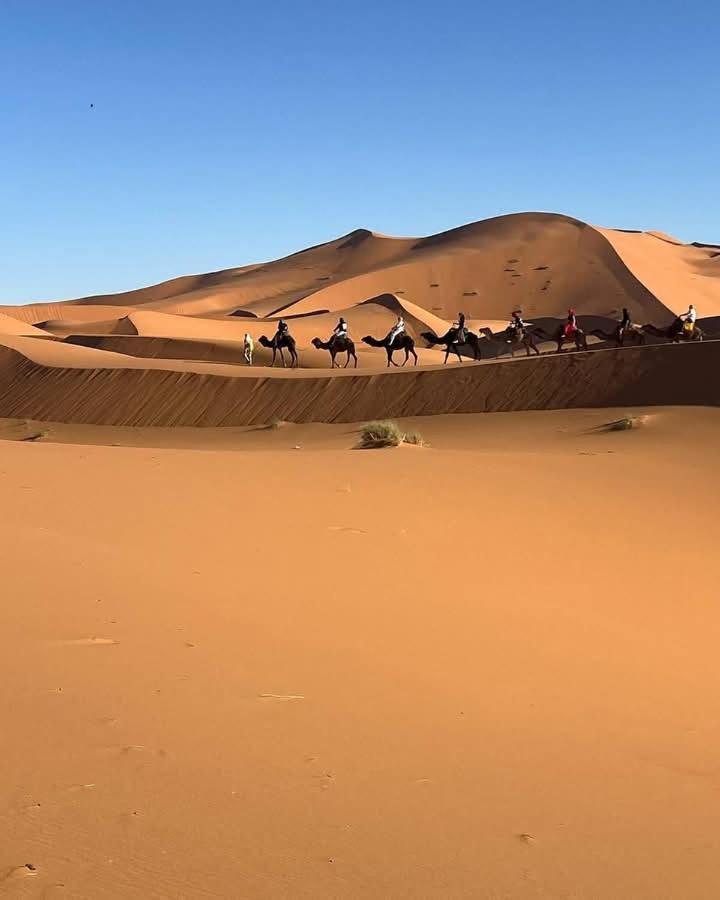 Bivouac Camel Trips Hotel Merzouga Exterior photo
